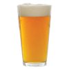 ricetta pale ale
