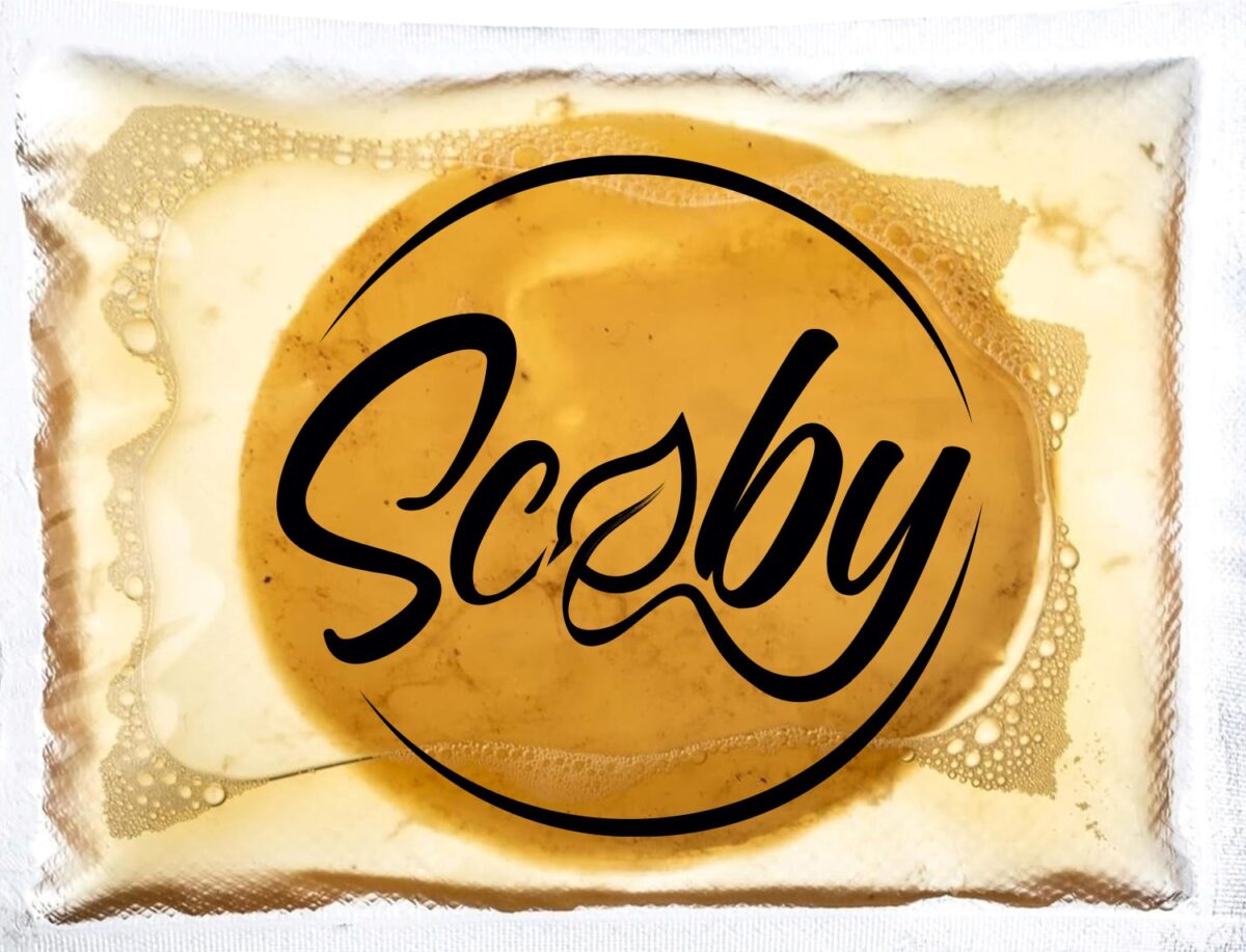 SCOBY PER KOMBUCHA (12cm) CON ISTRUZIONI PER L'USO