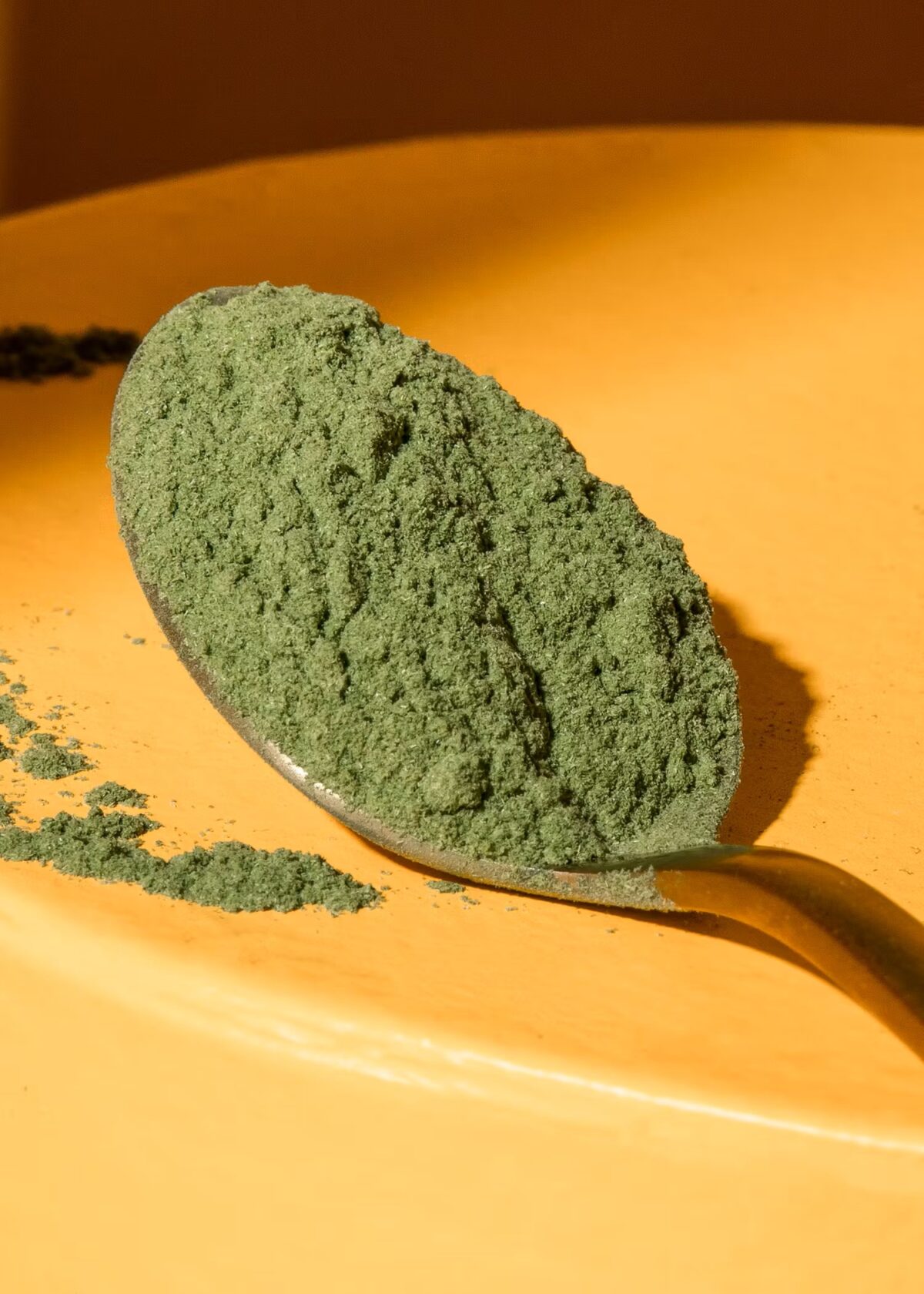 Spirulina verde Bio 100gr